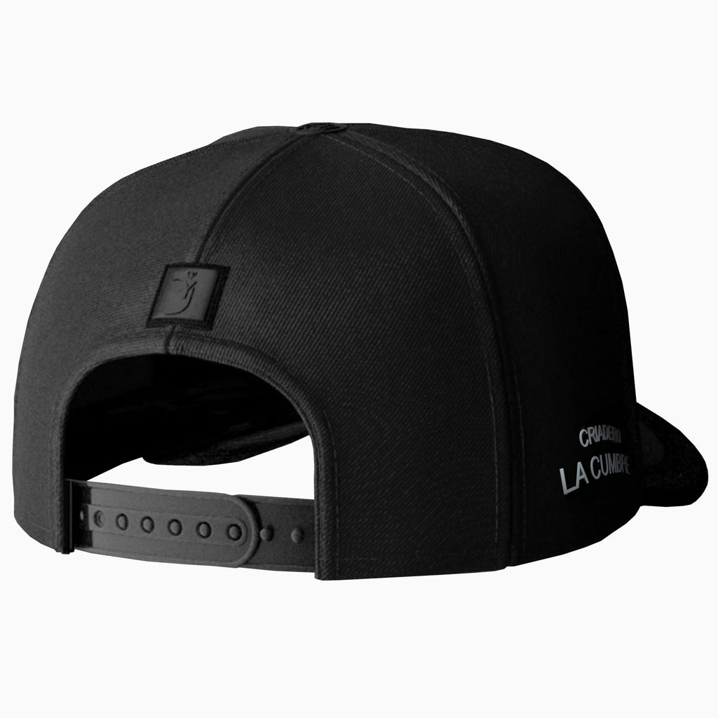 Gorra Colección Deluxe 1-2025